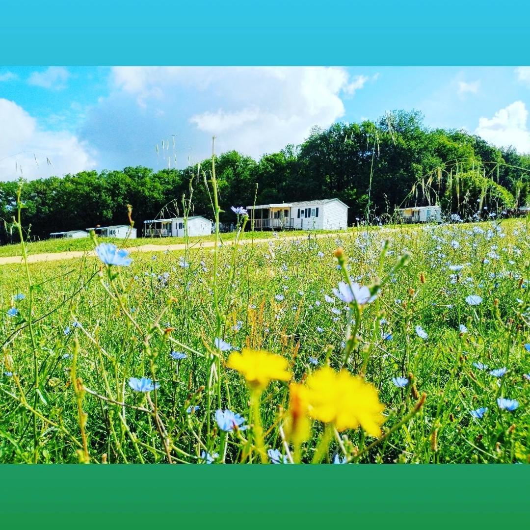 Camping Nature Le Valenty Mobil-Home-Dordogne Panoramique Clim Piscine Soturac Esterno foto