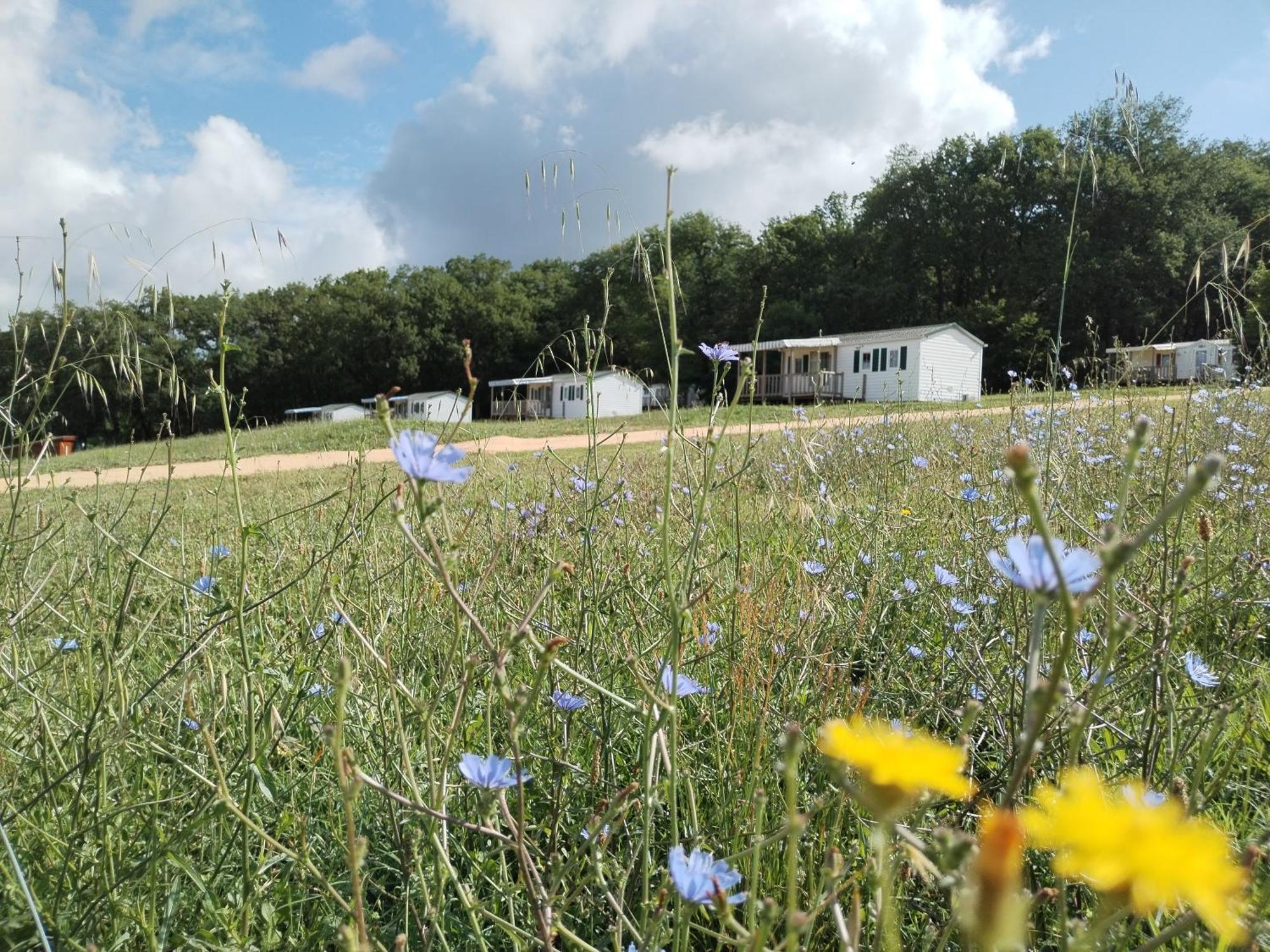 Camping Nature Le Valenty Mobil-Home-Dordogne Panoramique Clim Piscine Soturac Esterno foto