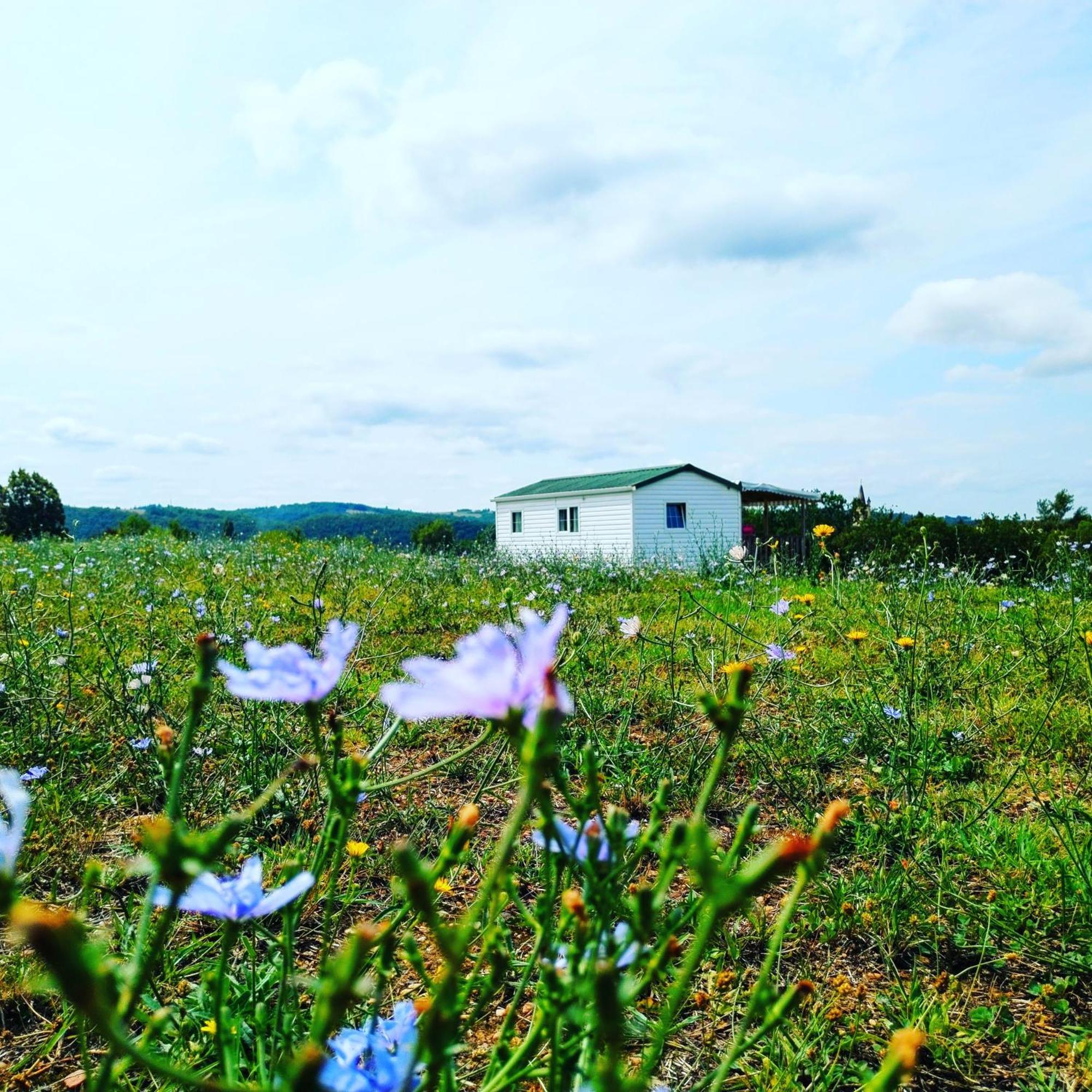 Camping Nature Le Valenty Mobil-Home-Dordogne Panoramique Clim Piscine Soturac Esterno foto