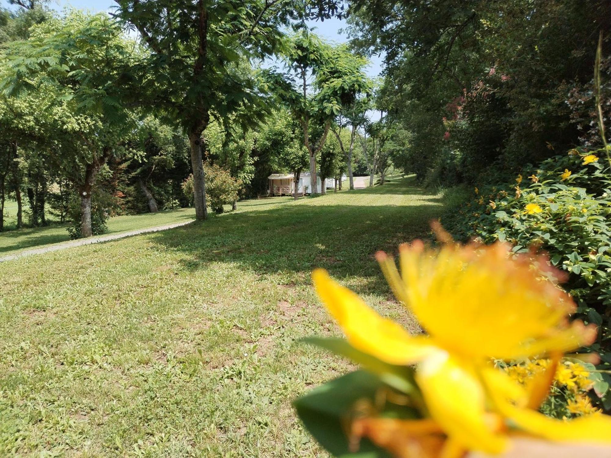 Camping Nature Le Valenty Mobil-Home-Dordogne Panoramique Clim Piscine Soturac Esterno foto