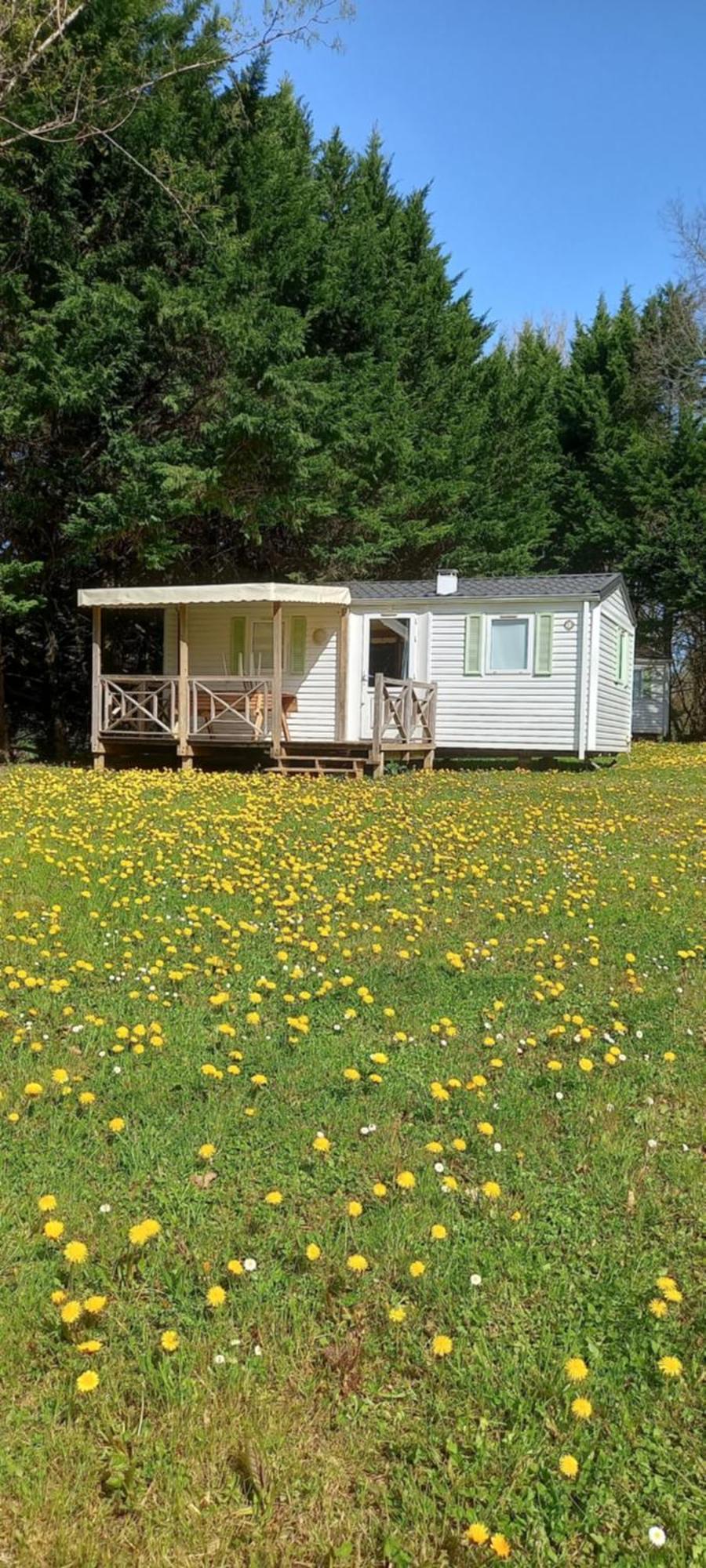 Camping Nature Le Valenty Mobil-Home-Dordogne Panoramique Clim Piscine Soturac Esterno foto